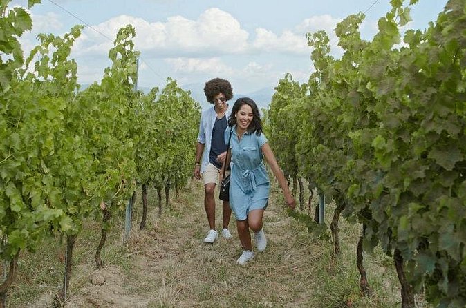 8 Hour Ontario Wine Tour with Cheese and Charcuterie - Timing and Weather: The Two Things That Shape Your Day