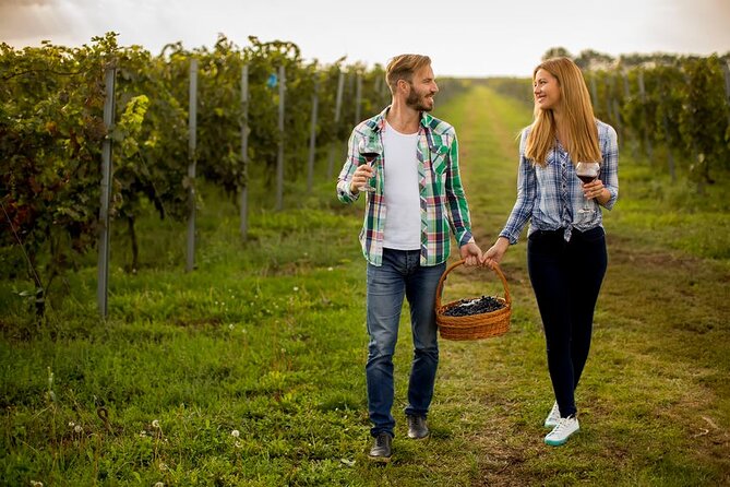 8 Hour Ontario Wine Tour with Cheese and Charcuterie - Six Winery Tastings in a Tight, Manageable Rhythm