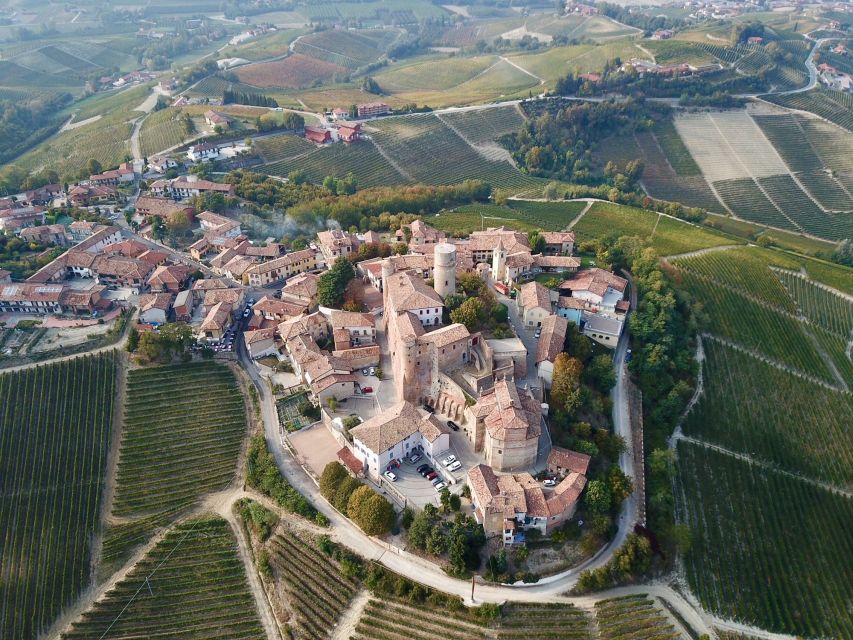 Alba: Truffle Hunting with Cheese, Truffle, & Wine Tastings - Key Points You Should Know Before You Go