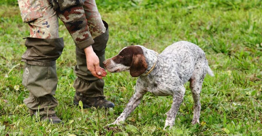 Alba: Truffle Hunting with Cheese, Truffle, & Wine Tastings - Truffles 101: White vs Black and Why They’re So Hard to Find