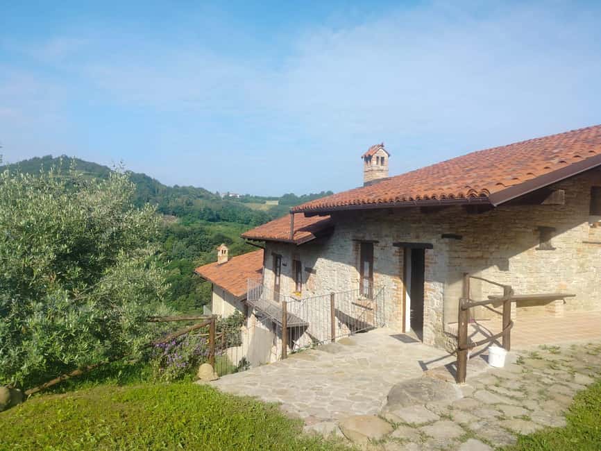 Alba: Truffle Hunting with Cheese, Truffle, & Wine Tastings - Price and the Extra Trifolao Fee: Is It Worth It?
