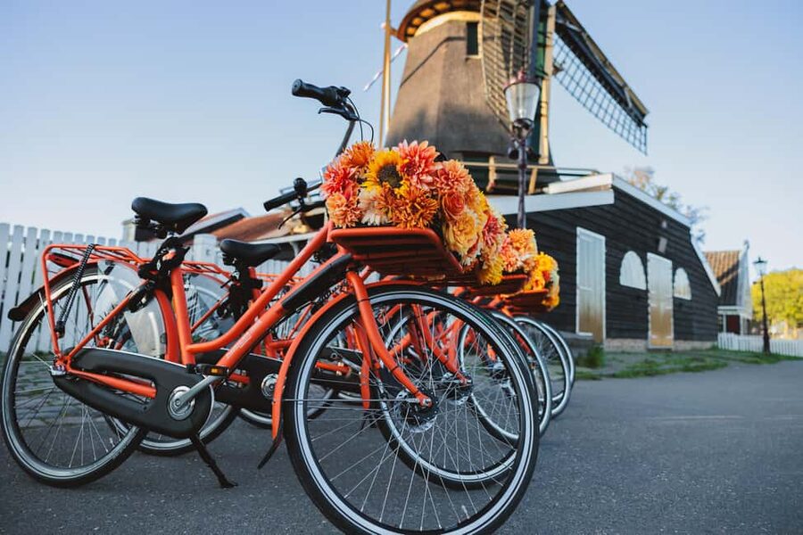 Amsterdam: Cheese, Windmill & Countryside Bike Tour - The Farm Visit: Meet Cows, Sheep, Lambs, and Taste Fresh Cheese