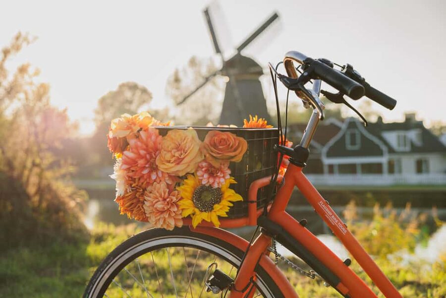 Amsterdam: Cheese, Windmill & Countryside Bike Tour - Price, Value, and Whether This Is Right for You