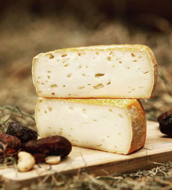 Amsterdam: Cheese, Windmill & Countryside Bike Tour - Should You Book This Tour?