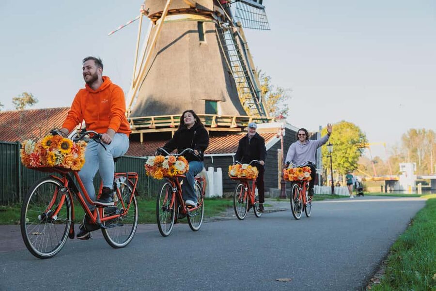 Amsterdam: E-Bike, Cheese, Windmill & Countryside Tour - Farm Visit: Cows, Sheep, Lambs, and Cheese That Tastes Like Something