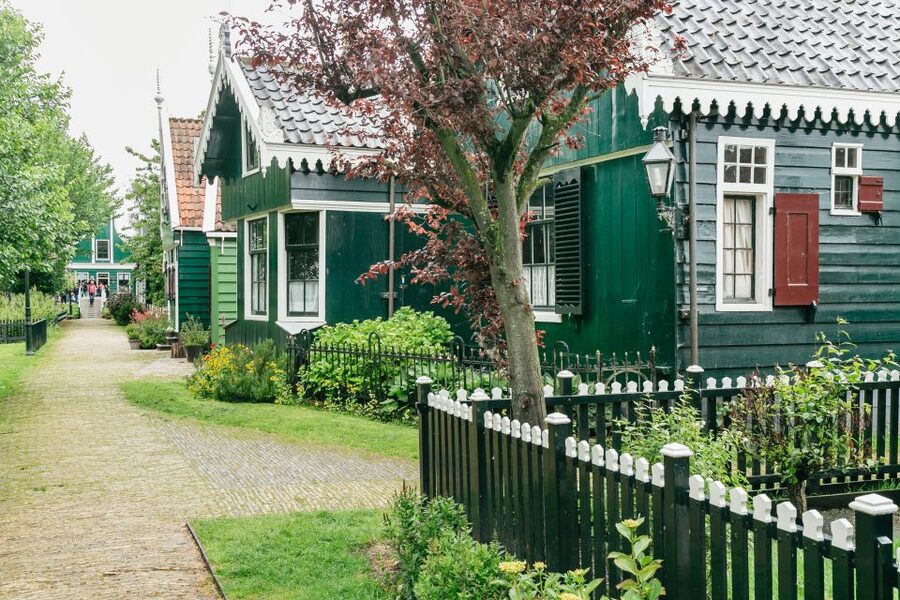Amsterdam: Guided Zaanse Schans, Windmills & Cheese Tour - Group size, timing, and comfort details that actually matter