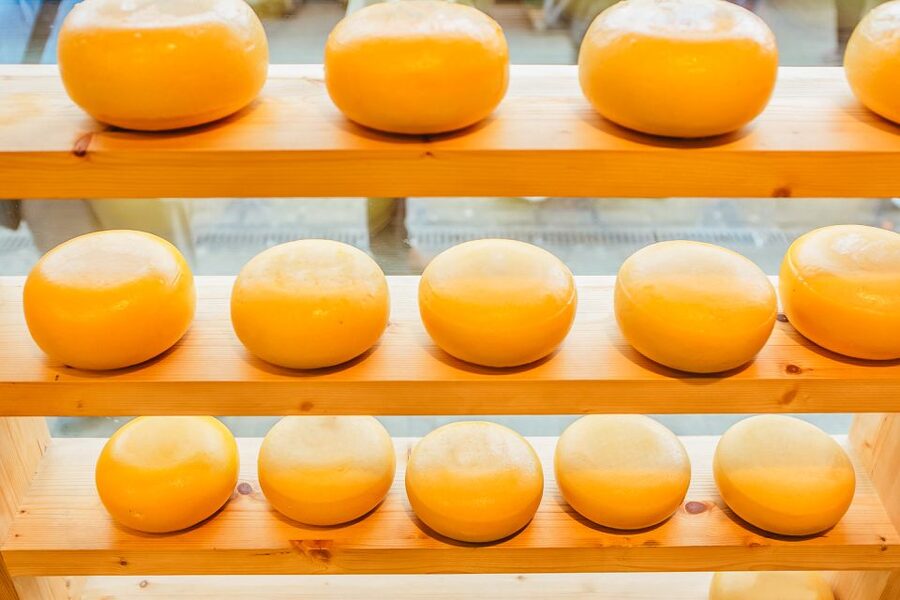 Amsterdam: Premium Henri Willig Cheese Tasting Experience - How long it takes and how to schedule it in your Amsterdam day