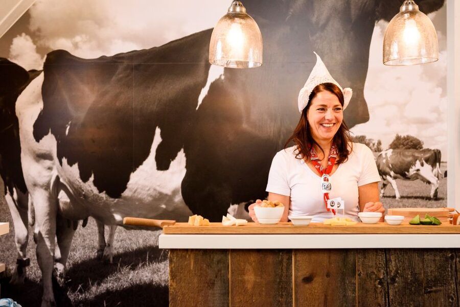 Amsterdam: Premium Henri Willig Cheese Tasting Experience - What you’ll taste: 10 Gouda samples with dips and mustard