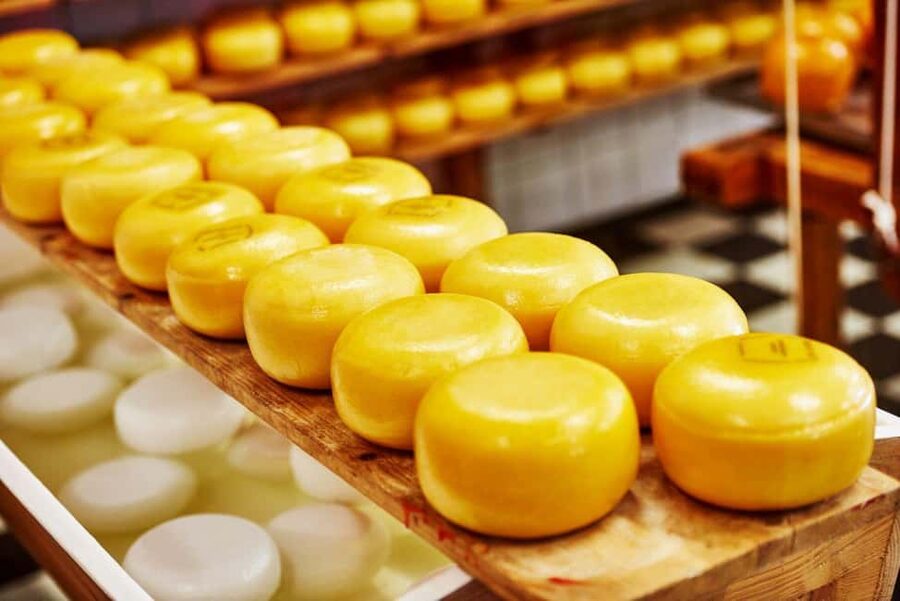 Amsterdam: Zaanse Schans, Cheese Tasting & Volendam Tour - Should you book the Amsterdam: Zaanse Schans, Cheese Tasting & Volendam Tour?