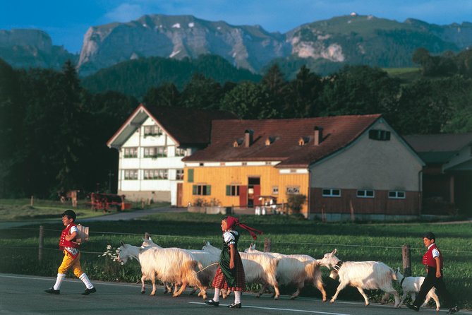 Appenzell Alps Day Trip from Zurich – Farm Life & Cheese Tasting - Appenzeller Schaukaserei: where the tang comes from