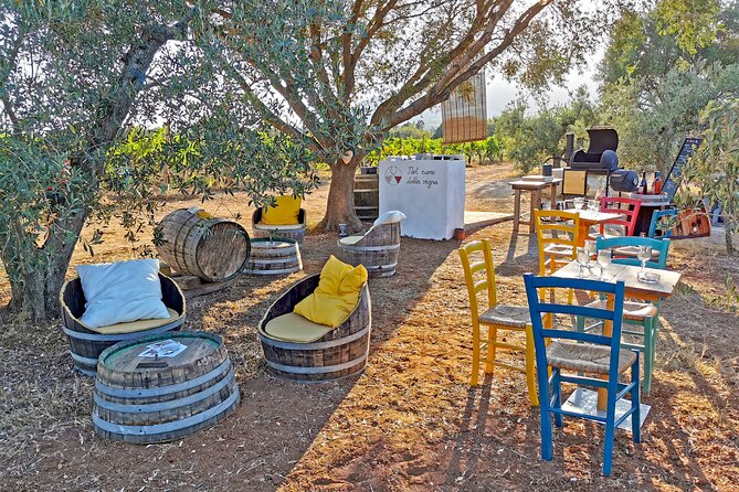 Archeology, visit to a vineyard and wine and pecorino cheese tasting - Should You Book Orosei Adventours for Archaeology and Wine?