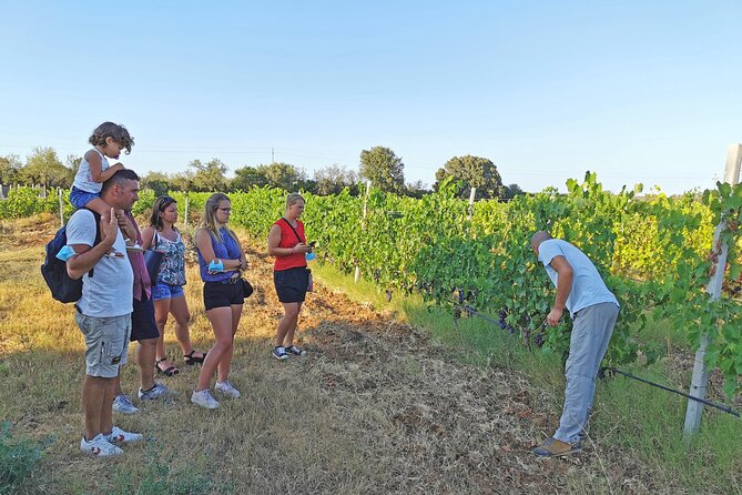 Archeology, visit to a vineyard and wine and pecorino cheese tasting - The Winemaker Walk: Cannonau Vine Rows and Local Traditions