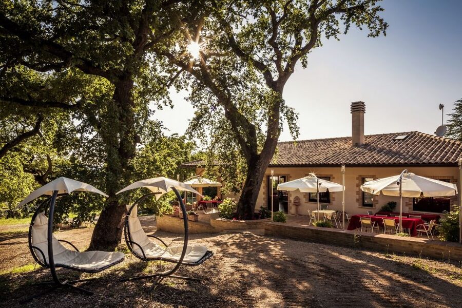 Assisi: Organic Wine and Cheese Tasting - Tili 21 Cantina Bio: where the tasting feels like a visit