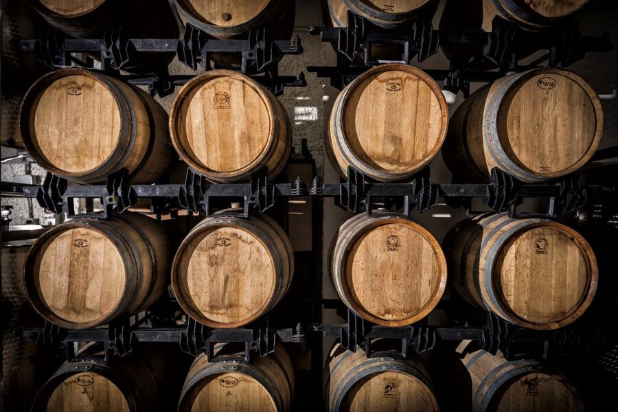 Assisi: Organic Wine and Cheese Tasting - The wines: what you’ll taste (Assisi DOC and Umbria IGT)
