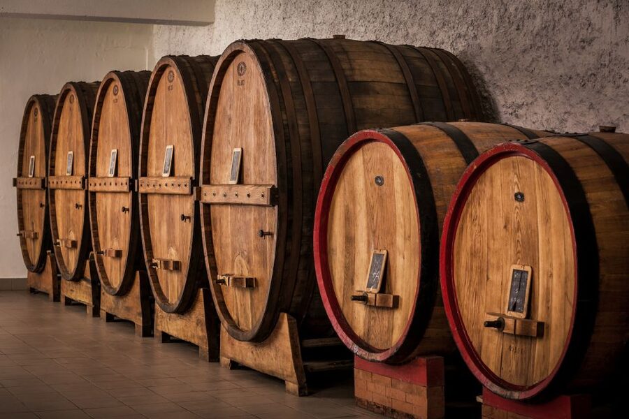 Assisi: Organic Wine and Cheese Tasting - The guide experience: Maria and the Tili family touch