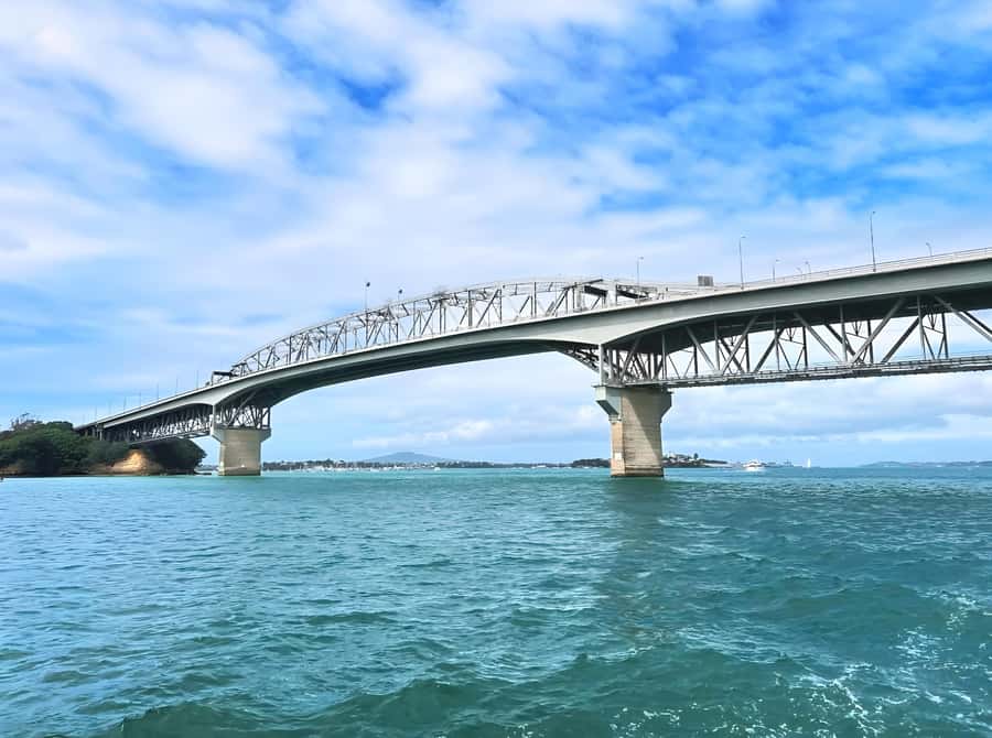Auckland: Scenic Wine and Cheese Harbour Cruise - Key Highlights You’ll Care About