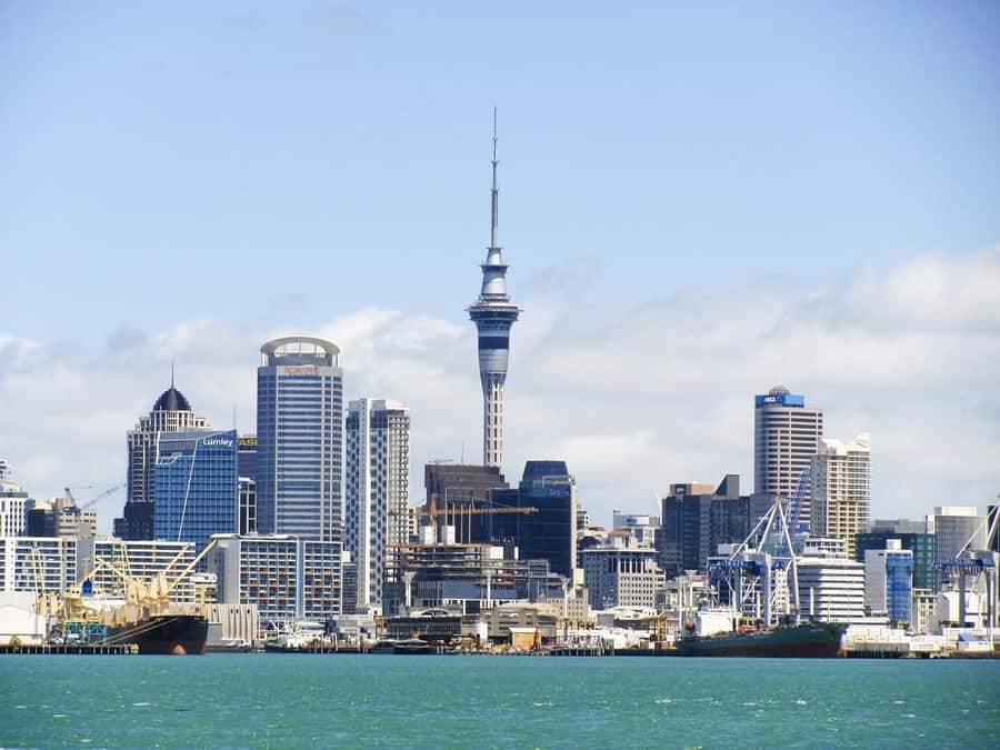 Auckland: Scenic Wine and Cheese Harbour Cruise - Why This 90-Minute Harbour Cruise Works So Well in Auckland