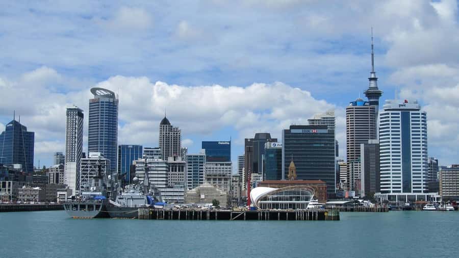Auckland: Scenic Wine and Cheese Harbour Cruise - Live English Commentary You Can Actually Use