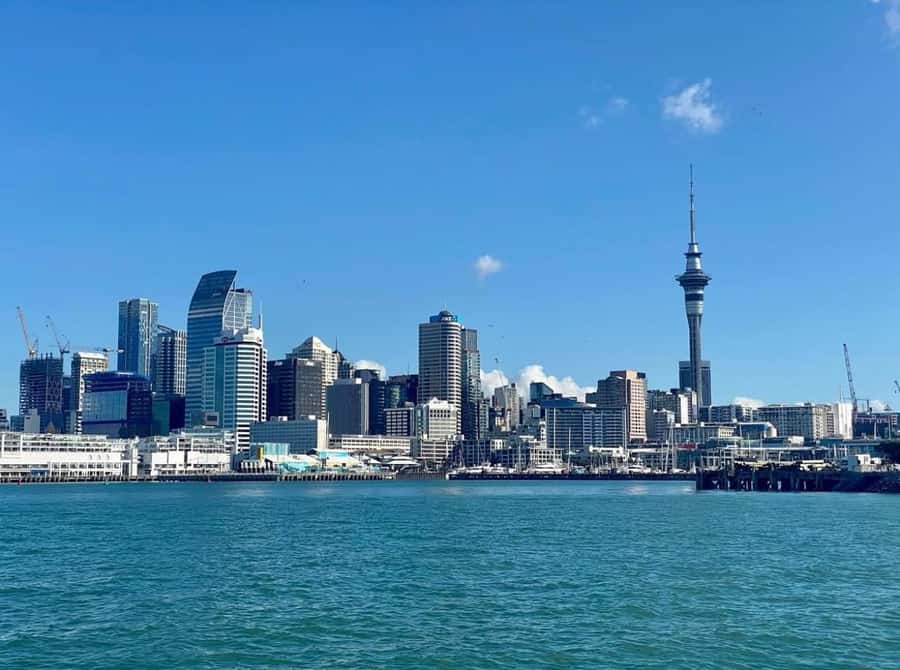 Auckland: Scenic Wine and Cheese Harbour Cruise - Bean Rock Lighthouse and Skyline Views for Those Quiet Minutes