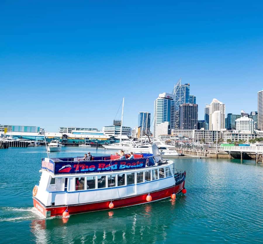 Auckland: Scenic Wine and Cheese Harbour Cruise - Price and Value: Is $33 Worth It?