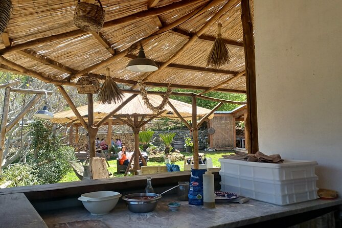 Authentic Farm Tour with Pizza, Cheese, Wine & Limoncello Tasting - Farm Lunch With Wine: What You Eat After You Cook