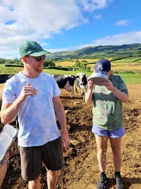 Azores: Dairy Farm Tour - Milking process in action: what you’ll do and what you’ll learn
