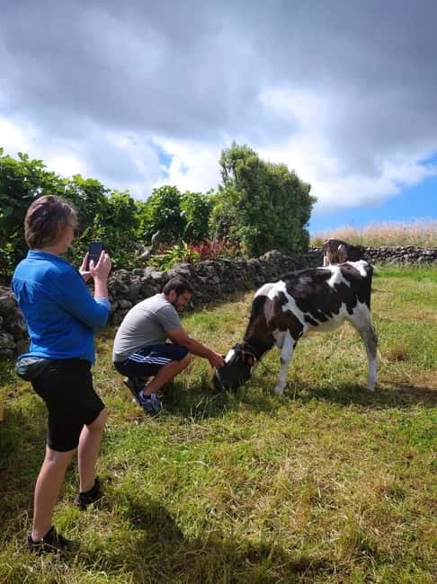 Azores: Dairy Farm Tour - Food at the end: local bread and cheese, processed locally