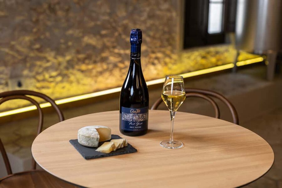 Barcelona: Cavas Hill - Winery Tour & Cheese Tasting - Historic early-1900s cellars where tradition happens