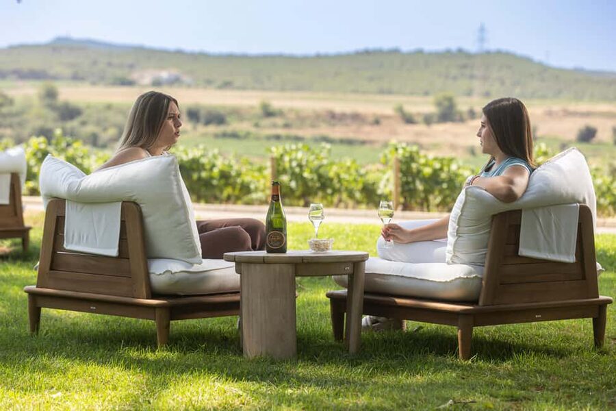 Barcelona: Cavas Hill - Winery Tour & Cheese Tasting - What $29 gets you (and why it can feel like a bargain)