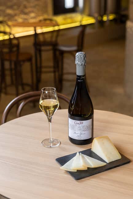 Barcelona: Cavas Hill - Winery Tour & Cheese Tasting - Who this tour suits best near Barcelona