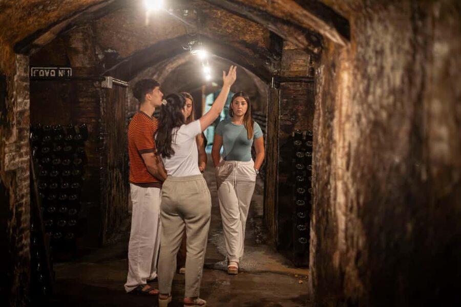Barcelona: Cavas Hill - Winery Tour & Cheese Tasting - Should you book Cavas Hill?