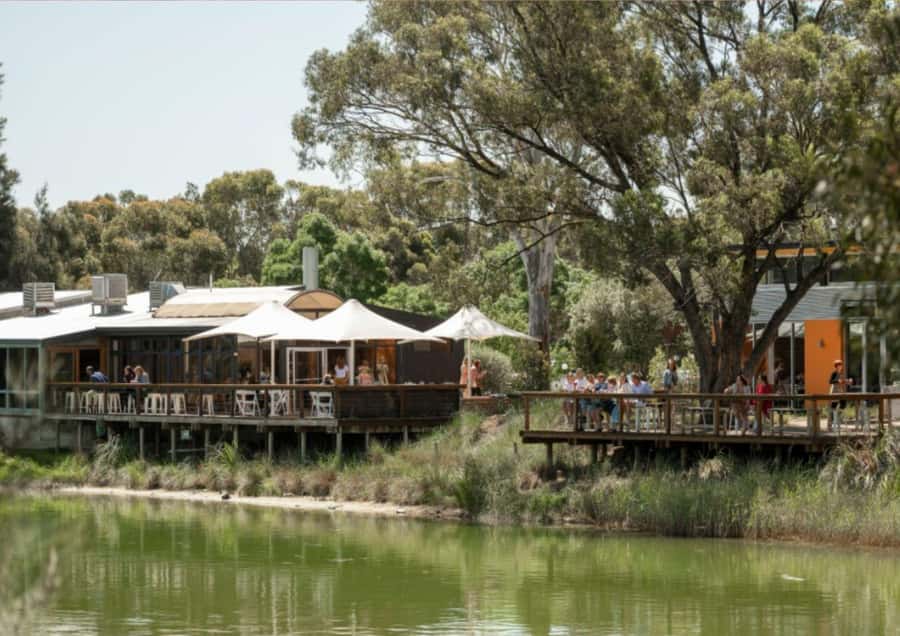 Barossa Valley: Maggie Beer's Wine Tasting & Cheese Platter - The 45 Minutes That Actually Make Sense: How the Flow Plays Out