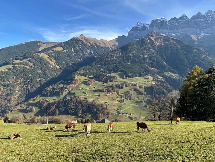 Basel: Local Cheese Tasting Tour with a Cheese Sommelier - Stop 1 and Stop 2: The Tour Flow in Plain English