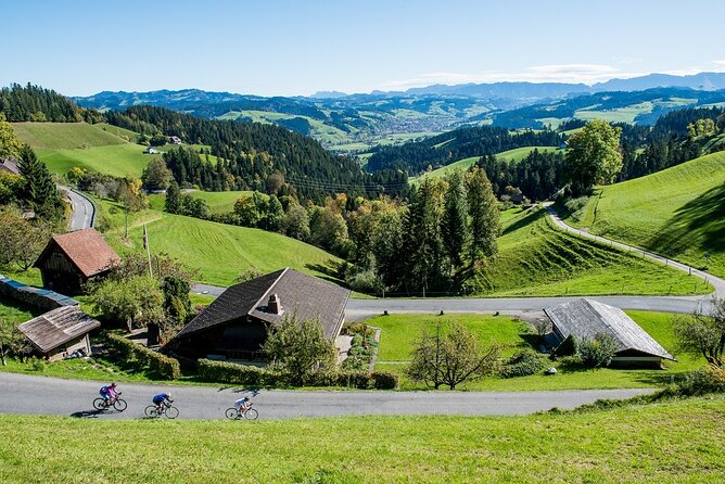 Bern Small-Group Day Trip from Lucerne With Emmental Dairy Visit - Price and value: is $245.37 a fair deal?
