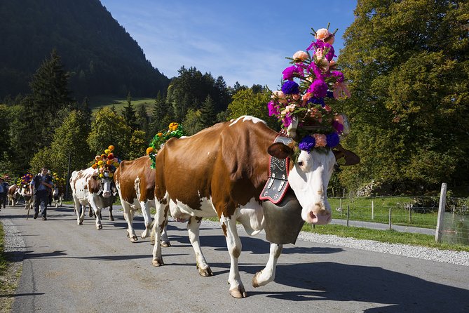 Berne the Capital and Cheese paradise Emmental (Private Tour) - What the private guide adds (including the Gean Carlos factor)