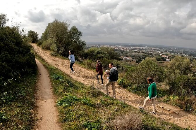 Bread, Wine&Cheese, The Natural Taste - A full day of bread, wine, and cheese south of Lisbon