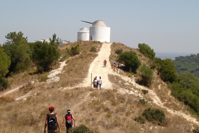 Bread, Wine&Cheese, The Natural Taste - The windmill ridge trail: ruins, fossils, and wide views