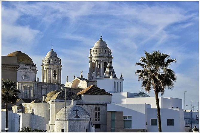 Cadiz Shore Excursion: Scenic & walking tour with cheese and sherry tasting - Cathedral de Cádiz vs. Cathedral Nueva: big Gothic views, but check what’s included