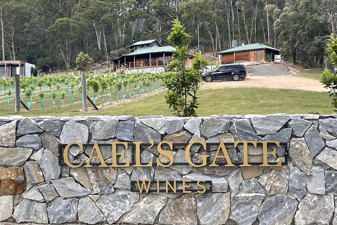 Cael’s Gate Wine and Cheese Tasting in Hunter Valley - Who Should Book Cael’s Gate, and When to Go to Avoid the Hassle