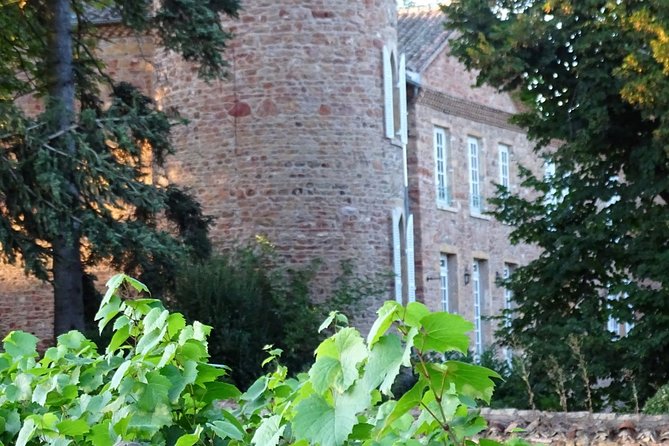 Cheese and Wine Accord Tour at Château de Champ-Renard - Price and Value at $57.62: What You Get, What You Don’t, and How to Plan