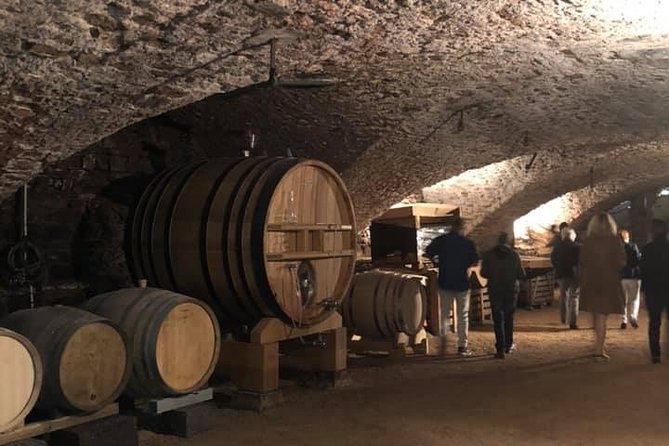 Cheese and Wine Accord Tour at Château de Champ-Renard - Who Should Book This Accord Tour (and who might want something else)
