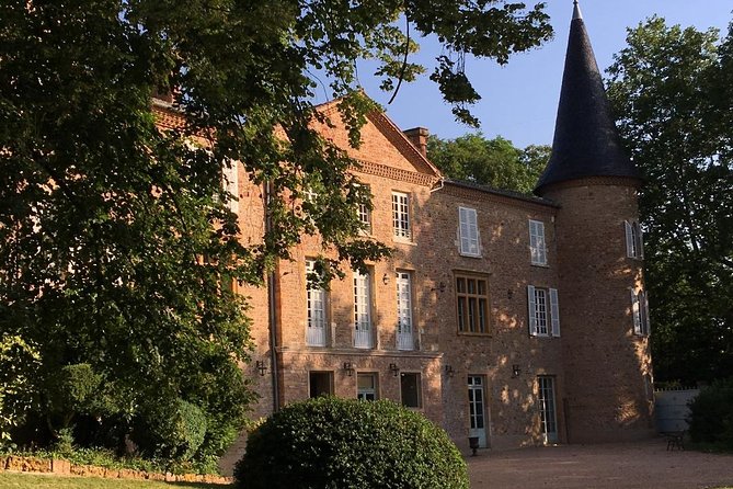 Cheese and Wine Accord Tour at Château de Champ-Renard - Terroir 101: Vineyard Work, Winemaking Steps, and What to Watch for