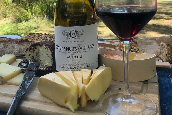 Cheese and Wine Pairing 1-Hour Session in Dijon - Dijon’s Cheese-Wine Pairing Session: What You’re Actually Getting