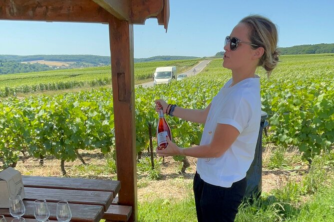 Cheese and Wine Pairing 1-Hour Session in Dijon - Price and Value: Is $58.87 Worth It for an Hour?