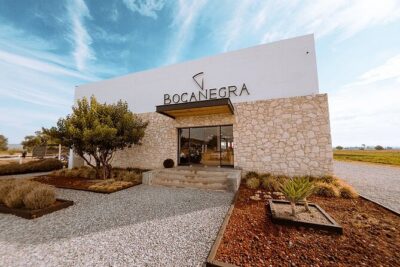 Cheese and Wine Route with 2 Towns, starting from Querétaro - Stop 1: Querétaro City Cheese Factory (A Light Start)