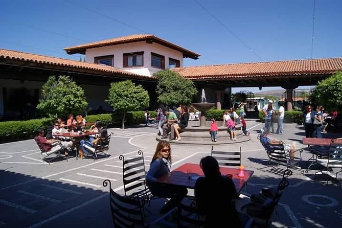 Cheese and Wine Route with 2 Towns, starting from Querétaro - Vina Tx Vineyard Pairing: Where the Flavor Lands