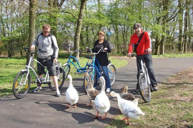 Cheese, Canals & Windmill Countryside E-Bike Tour Amsterdam - Stop 3: Windmill d’Admiraal and why it’s more than a photo