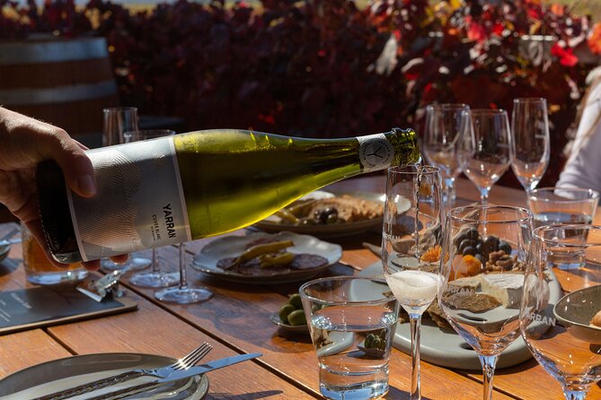 Cheese + Chill - Key highlights worth clocking before you go