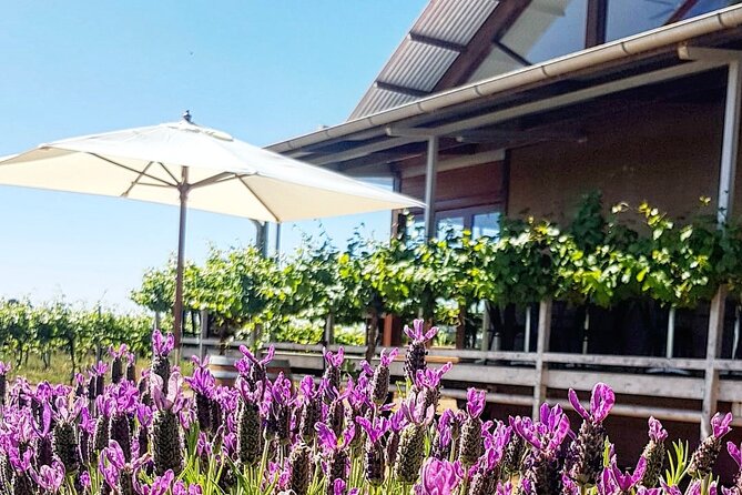 Cheese + Chill - Cheese + Chill at Yarran: how the 90-minute flow works