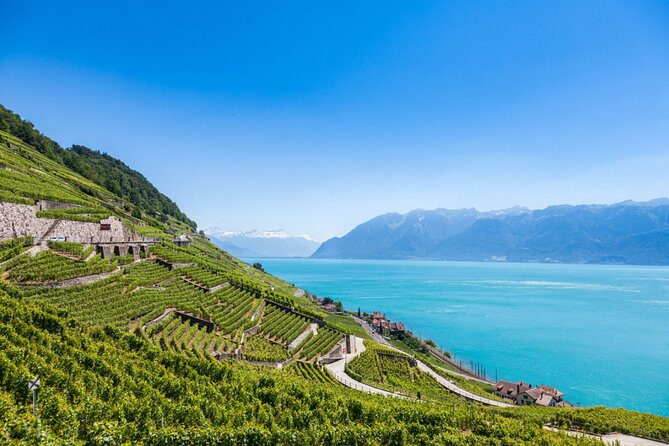 Cheese, Choc, and Culture: Private Tour to Gruyères from Geneva - Lavaux Vineyard Terraces: UNESCO views over Lake Geneva